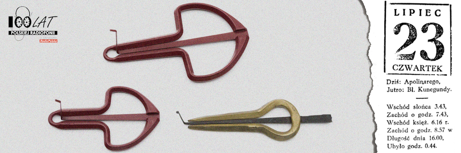 Ilustracja tytułowa dla dnia: 23.07.1925. Zestaw drumli. Źródło: Wikipedia (https://pl.wikipedia.org/wiki/Plik:2023_Drumle.jpg)