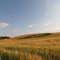 Widok na maszt w Miłkach